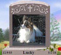 Lucky Song